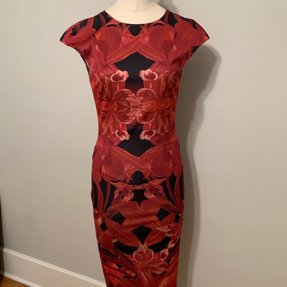 Ted Baker Dress - Broken Zipper